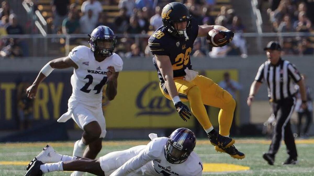 California running back Patrick Laird jumps over Weber State safety Trey Hoskins on Sept. 9.