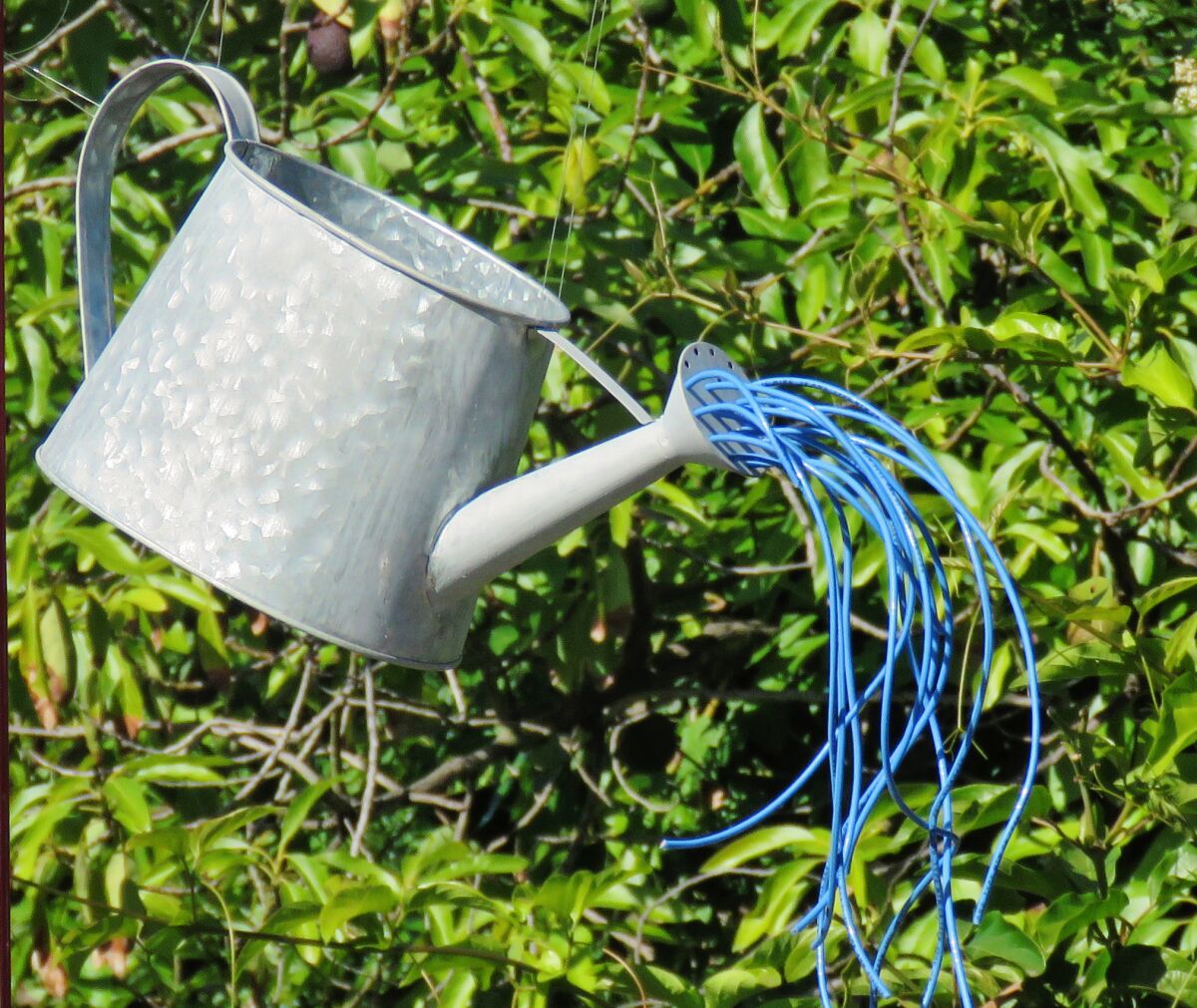 Bert and Cynthia Rhine's garden art centerpiece has a watering can with blue electrical wire simulating water.