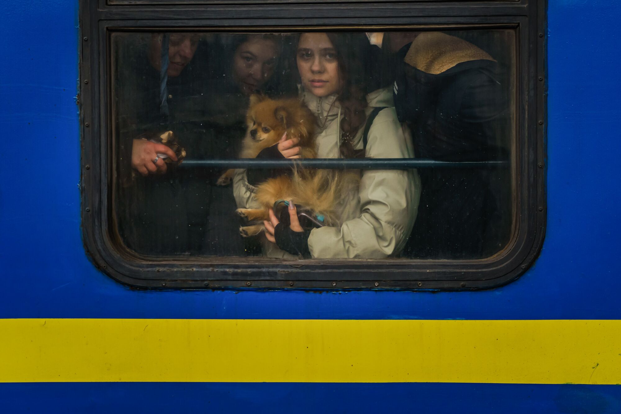 A woman holding a dog looks out a train window. 