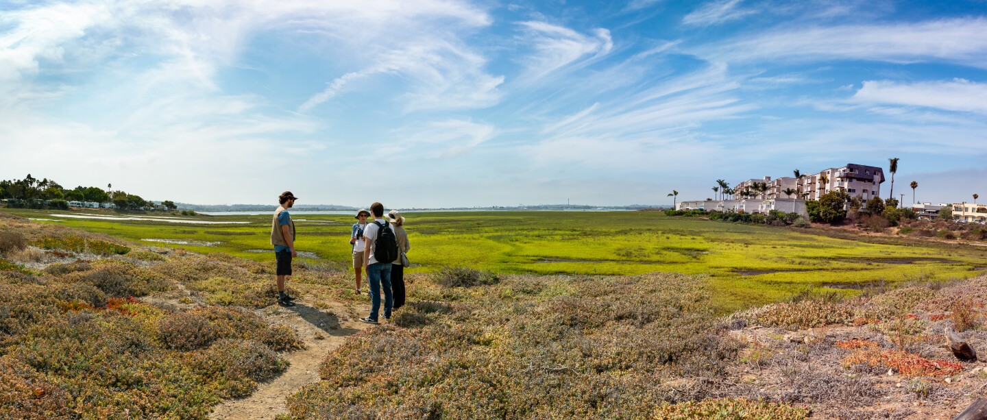 Visitors could explore the Kendall-Frost Bay Marsh Reserve during the first Wander the Wetlands event on July 24.