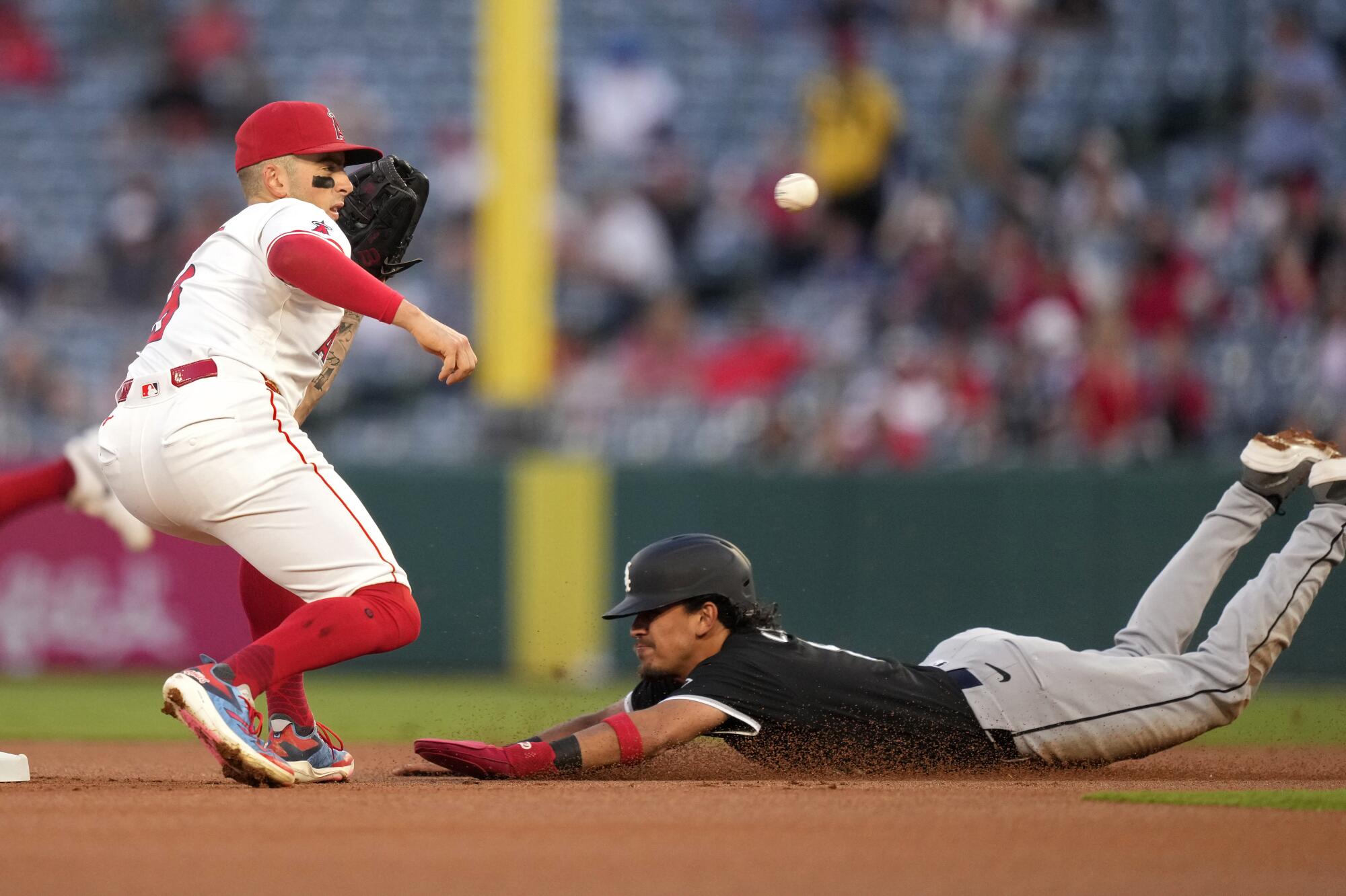 Regardless of franchise futility, Ron Washington believes he can train the Angels learn how to win 7 Angels shortstop Zach Neto gets ready to tag out the White Sox's Nicky Lopez as Lopez tries to steal second