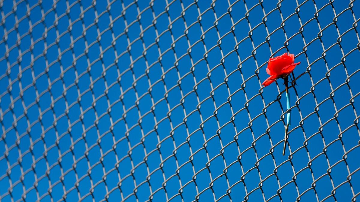 A flower adorns a fence near Marjory Stoneman Douglas High School in Parkland, Fla.