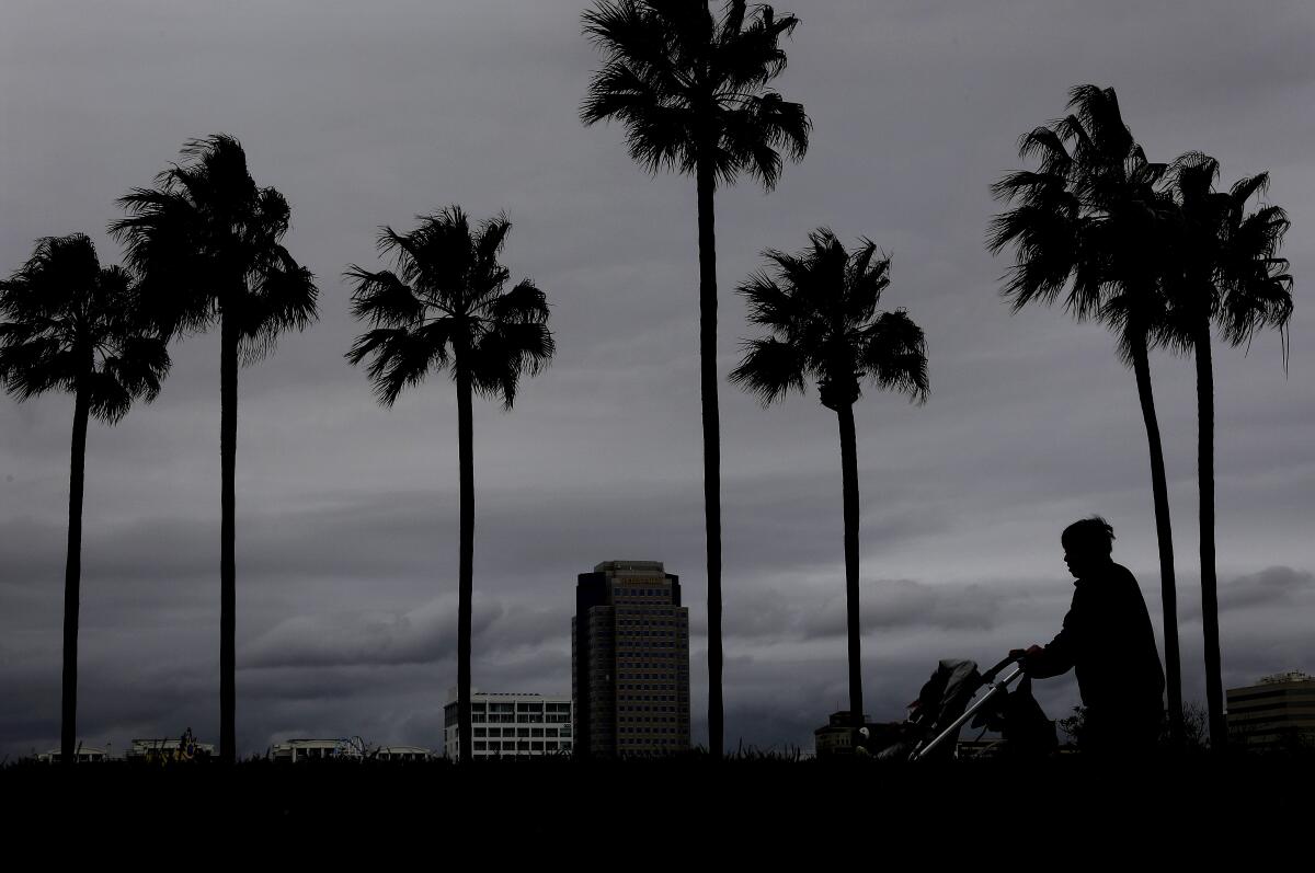A person pushing a stroller and palm trees are outlined against a stormy sky.