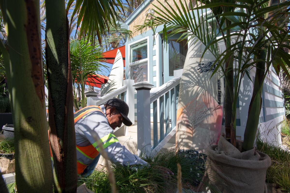 Crews arrange plants around an entry for Project Playhouse at the Irvine Spectrum.