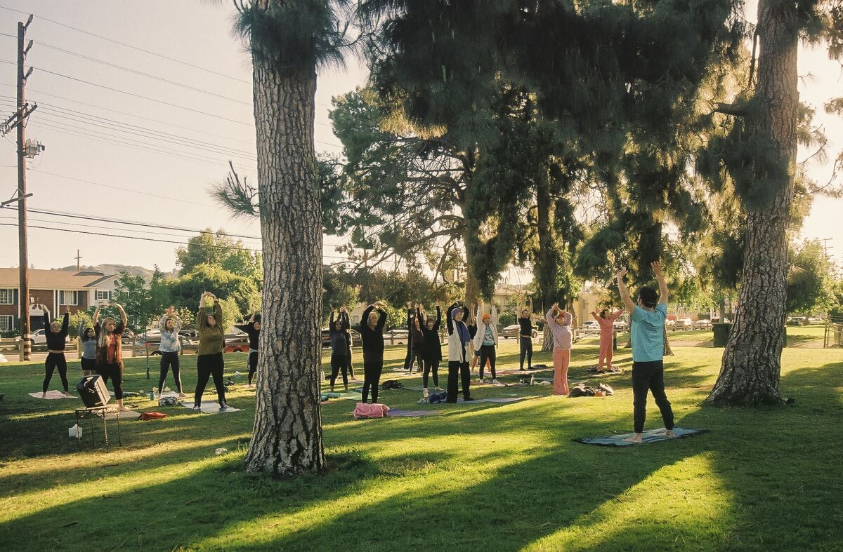 A group of people doing yoga in a park, surrounded by large trees.