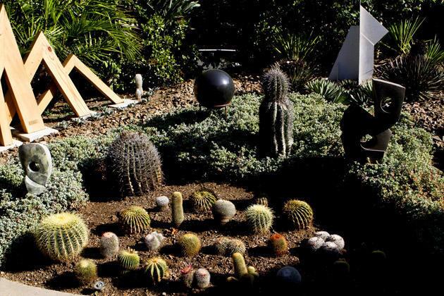 Park Nobel's cactus garden