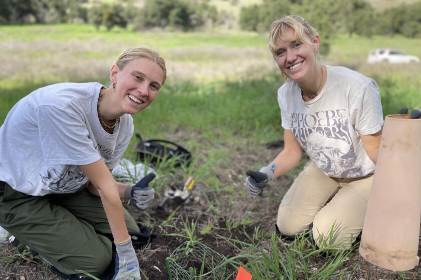 The Irvine Ranch Conservancy has partnered with students from Chapman University for climate change research.