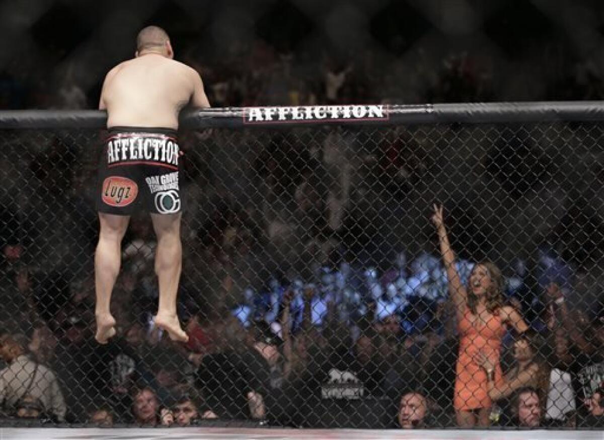 cain velasquez knockouts