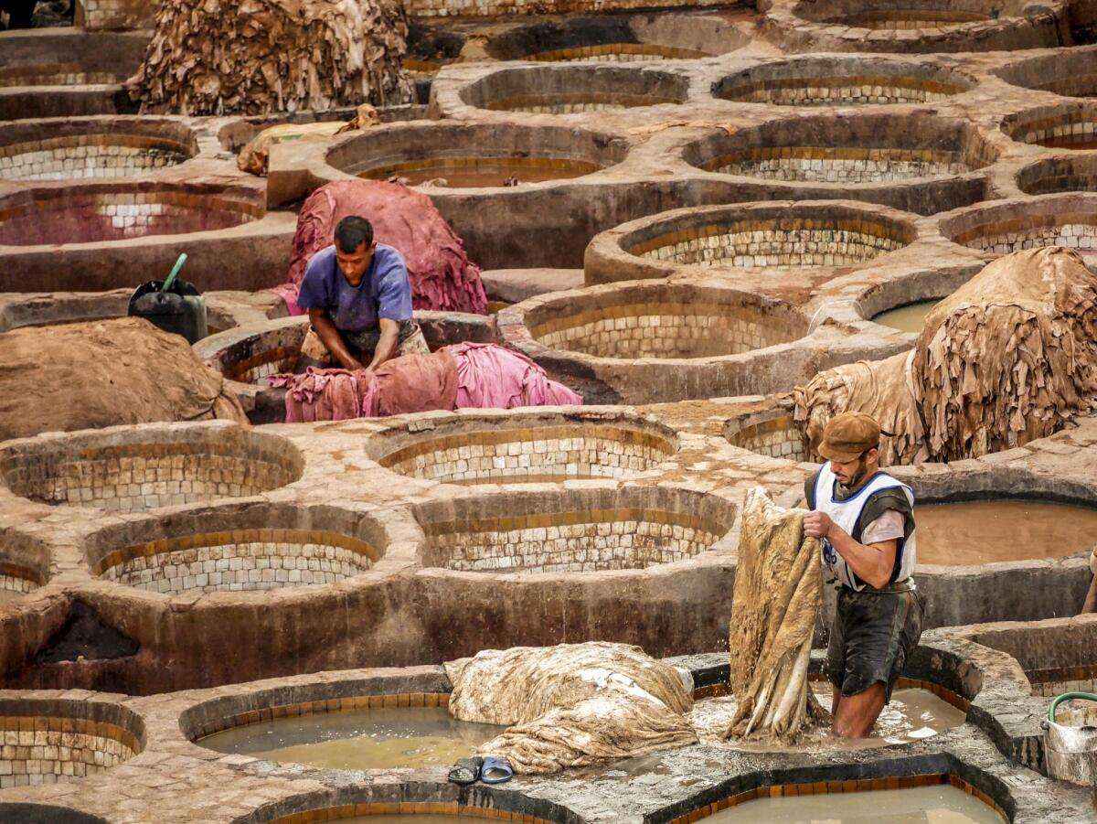 Two men wash and dye camel, goat, sheep and cow hides in the Chouara, the 11th century tanners quarter. Pigments are from plants and minerals.