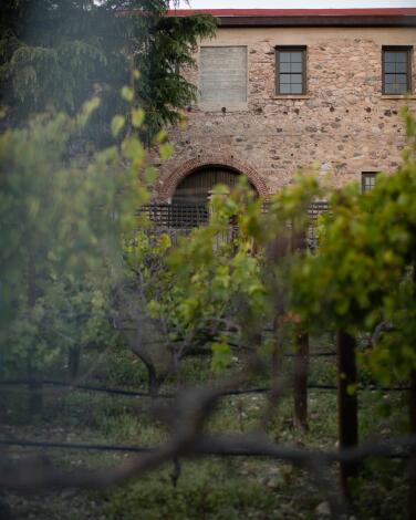 Vines grow in front of the historic stone barn at Deukmejian Wilderness Park in Glendale.