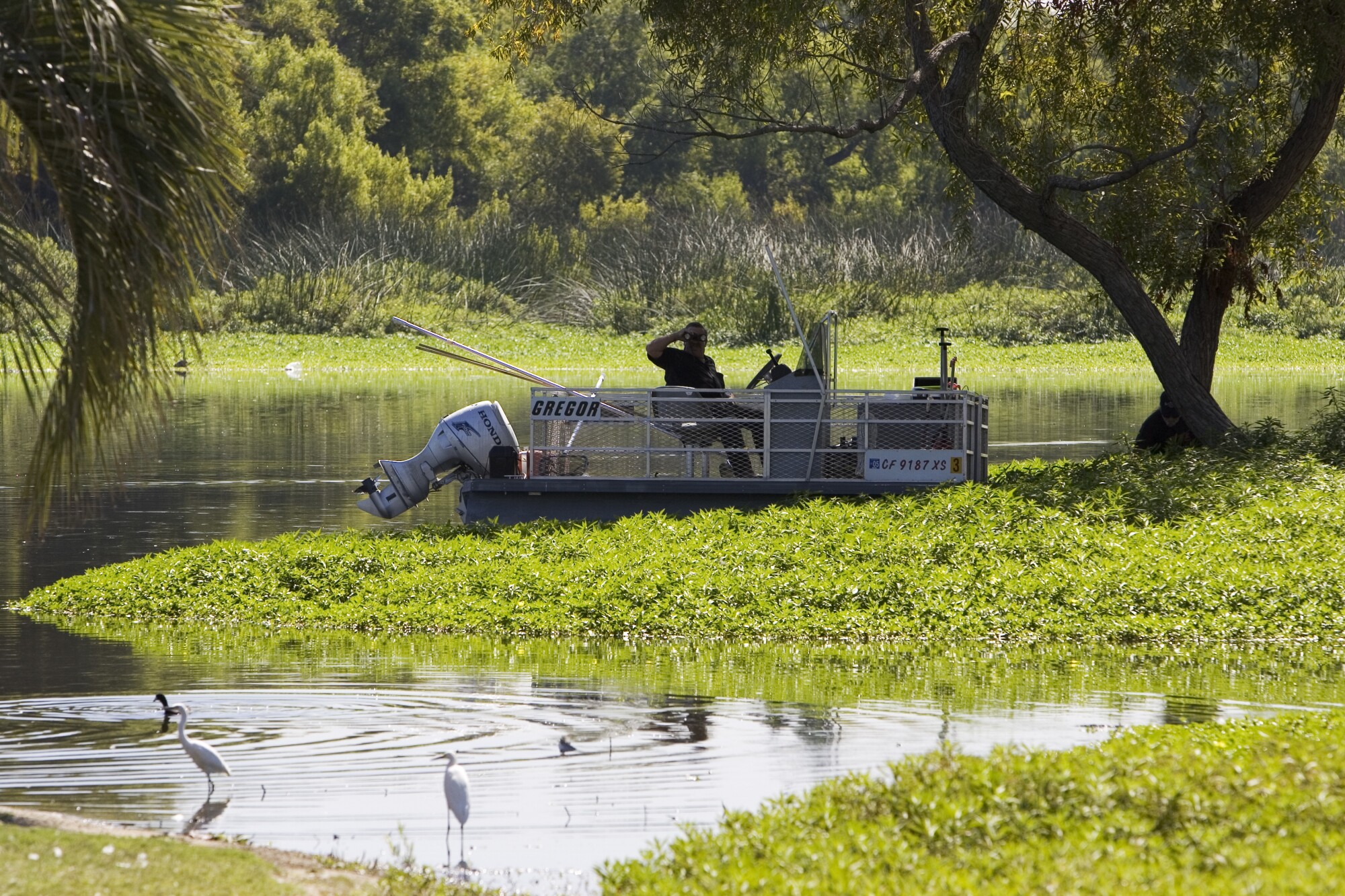 A boater with binoculars cruises Lake Machado