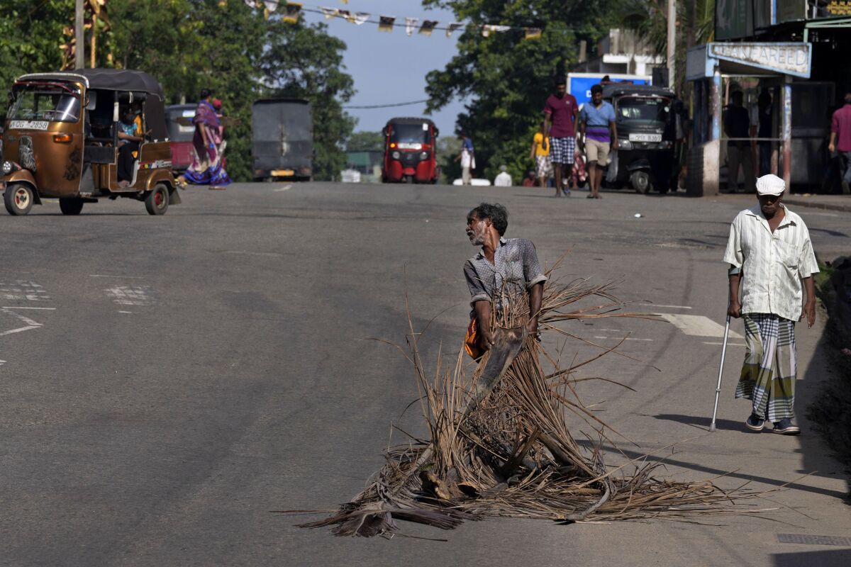 A man pulls fallen coconut leaves to be used as firewood.