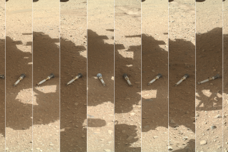 These tubes hold samples of rock cores and regolith collected by NASA's Perseverance rover.