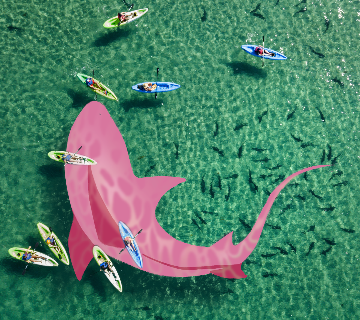 An illustrated giant pink shark added to a photo of kayakers floating above sharks.