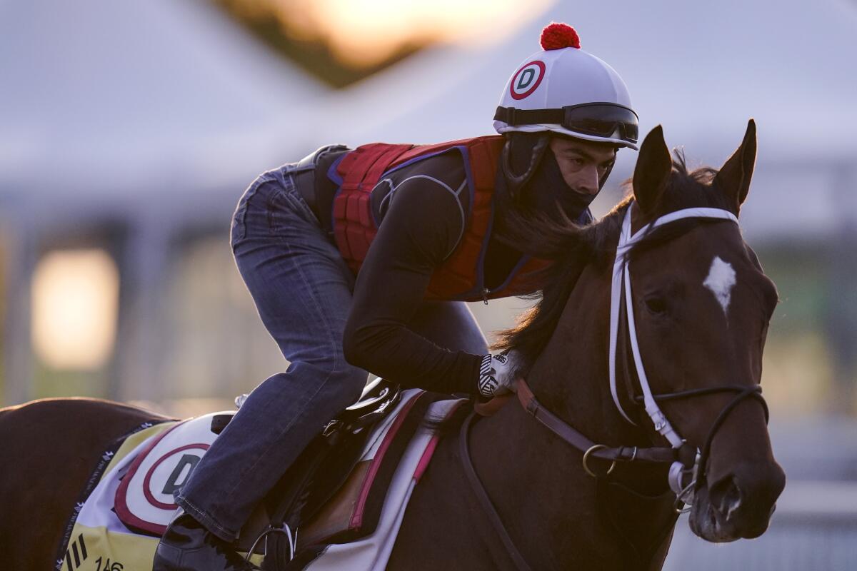 Preakness entrant Keepmeinmind works out during a training session