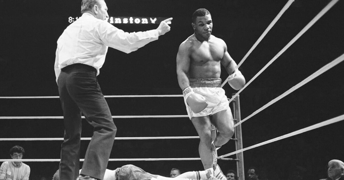 Mike Tyson to fight Jake Paul. Yes, an ex-heavyweight champ is boxing a YouTuber on Netflix Mike Tyson to fight Jake Paul. Yes, an ex-heavyweight champ is boxing a YouTuber on Netflix