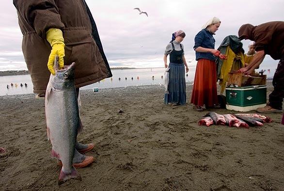 Valentina Baklanov waits with a sockeye salmon while Maria and Kate Prokosheva and Alexy Prokoshev clean other fish on the bank of the Kenai River in Alaska. The Prokoshev family drove 10 hours from Delta Junction in the state's interior just to fish.