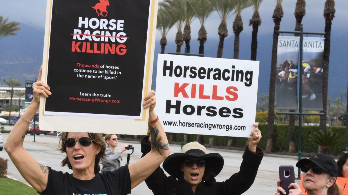 Animal-rights advocates protest the deaths of horses at Santa Anita.