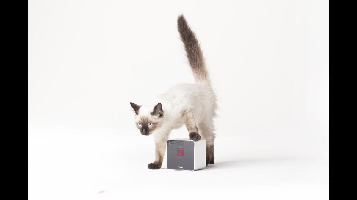 Guilt-ridden pet owners can check on their furry friends with the Petcube Camera, allowing them to watch, talk and play with pets from a smartphone. The Petcube features a wide-angle camera with real-time HD video. Pet may be spoken to via a built-in microphone and speaker.