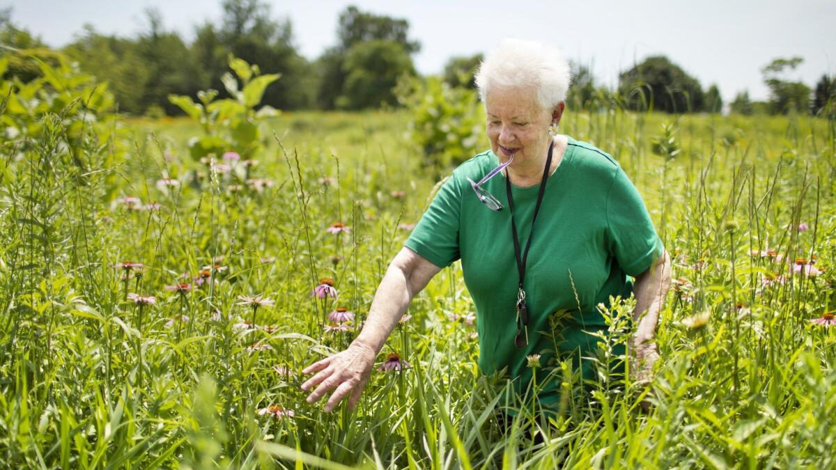 Charlotte Adelman visits the Centennial Prairie Garden in Wilmette, Ill.,which she helped establish. Adelmen is one of the plaintiffs in a federal lawsuit trying to block the construction of the Obama Presidential Center in Chicago’s Jackson Park.