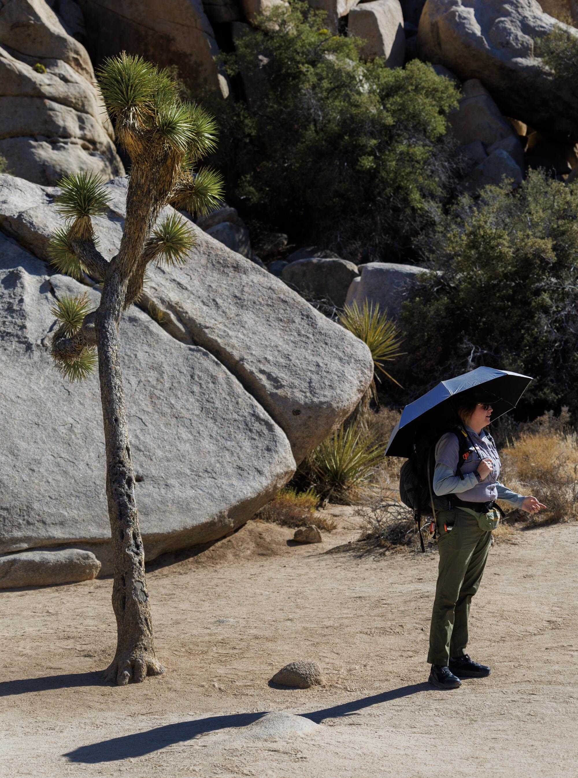 Park ranger Anna Marini stays cool under a sun umbrella.