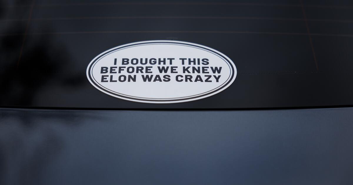 Elon Musk Maga'ya gitmeden yıllar önce Tesla'mı aldım. Beni yargılama