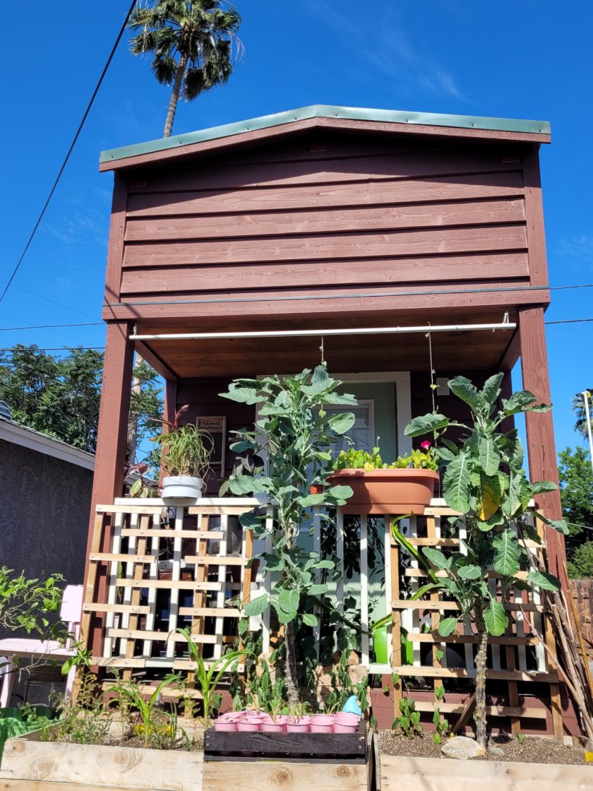 A brown tiny house has plants all over its front porch and a palm tree in the background