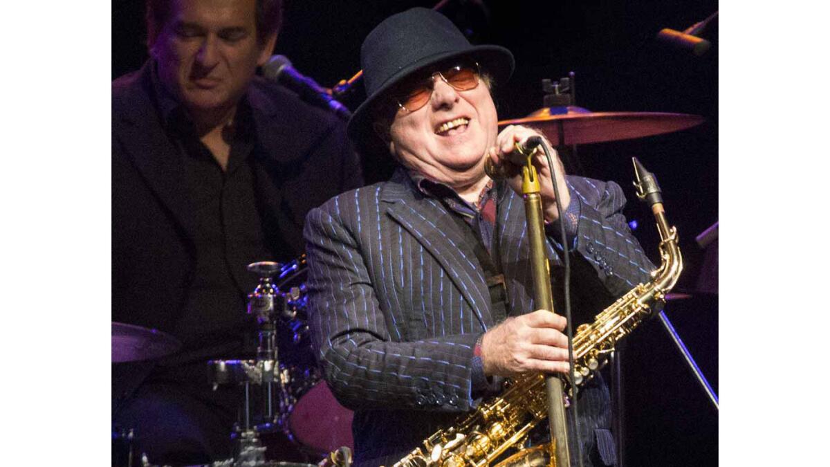 Van Morrison: from eccentric genius to conspiracy theorist - Los Angeles  Times