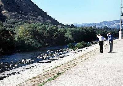 Two conventioneers from a recent National Park Service conference look out upon the Los Angeles River near Los Feliz Boulevard.