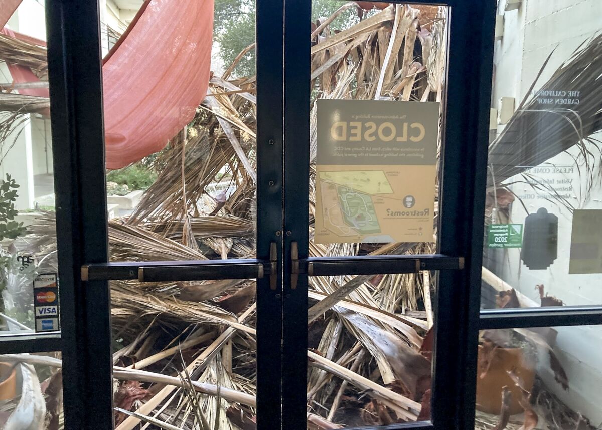 Closed glass doors in front of a pile of fallen palm fronds.