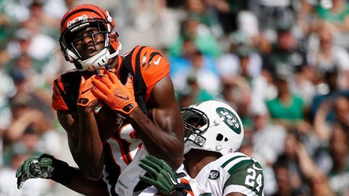 Bengals receiver A.J. Green catches a pass in front of Jets cornerback Darrelle Revis during a game on Sept. 11.