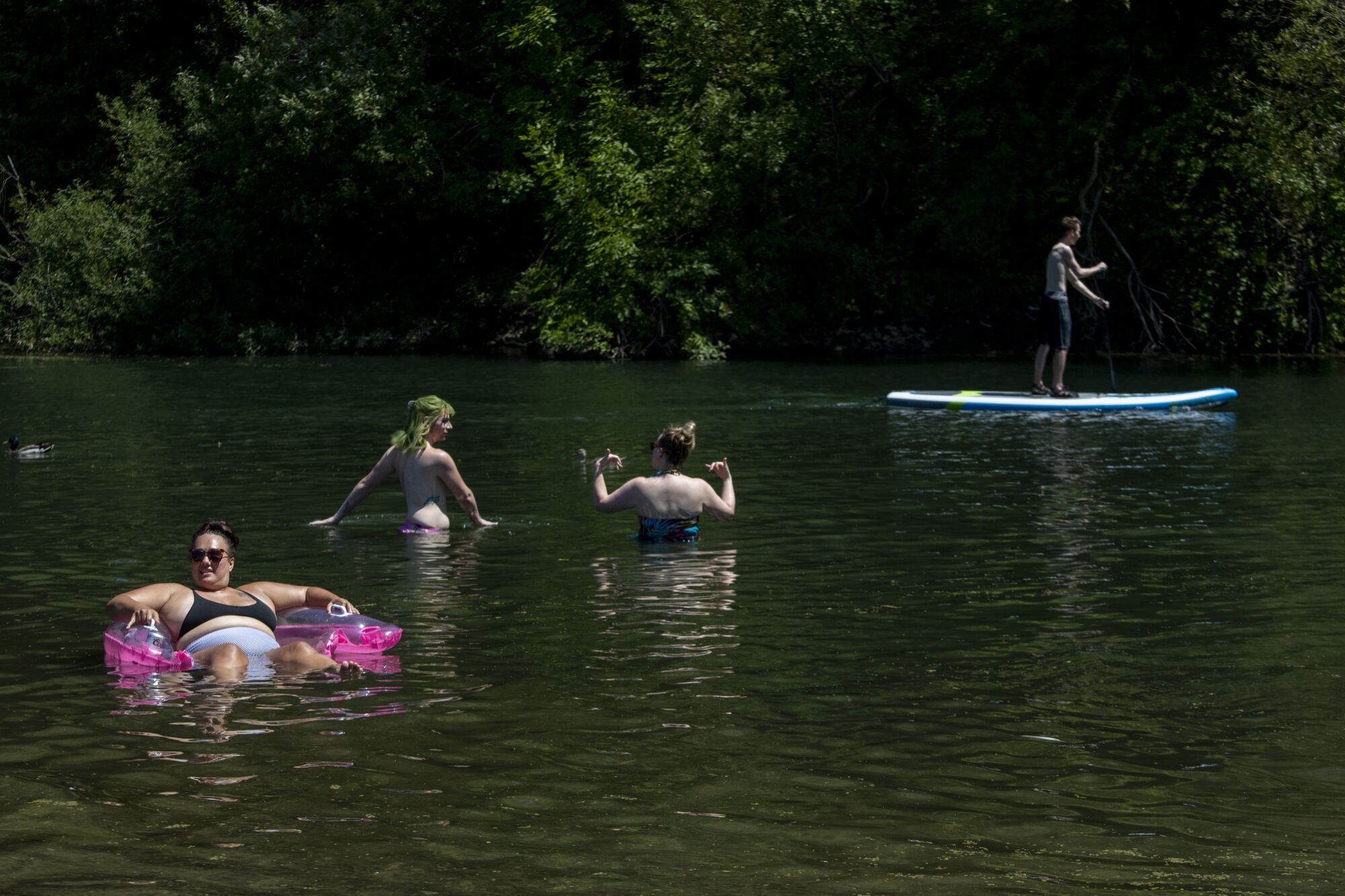 Beachgoers enjoy the cool water at Monte Rio Beach on the Russian River in Monte Rio, Calif.