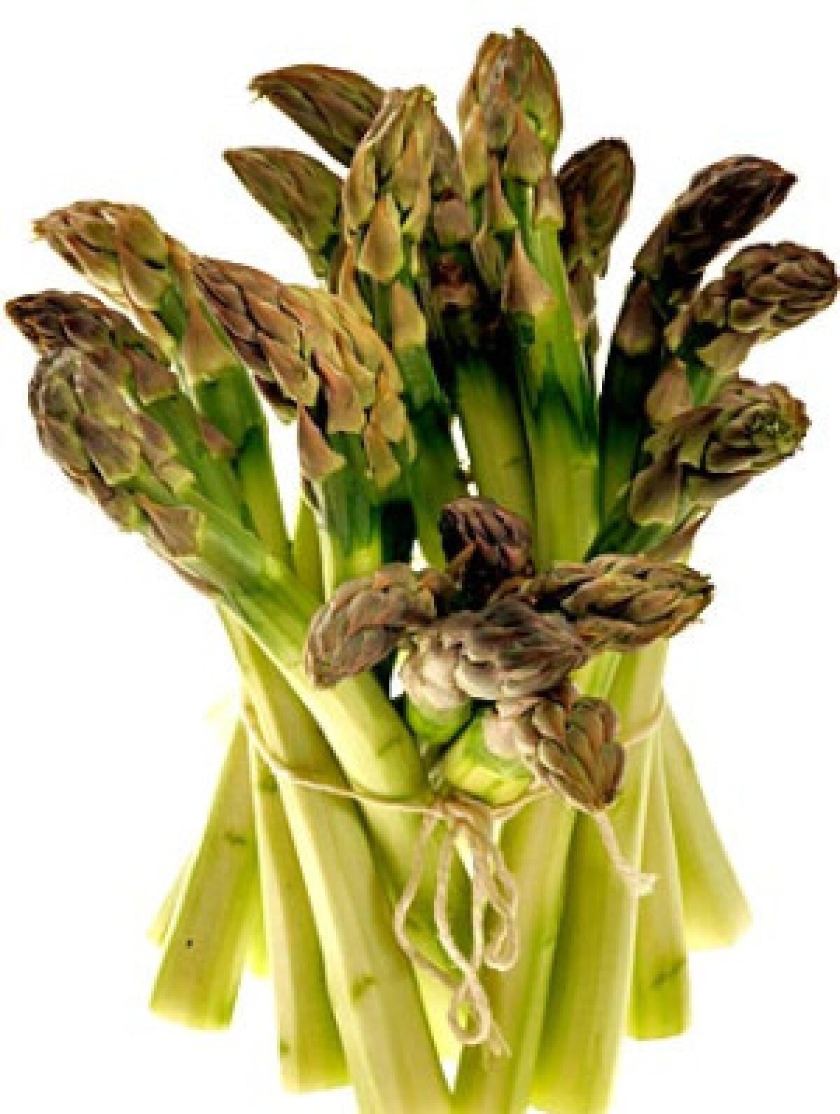 All sizes of asparagus can come from the same set of roots. The biggest come from the very healthiest part, usually near the center.