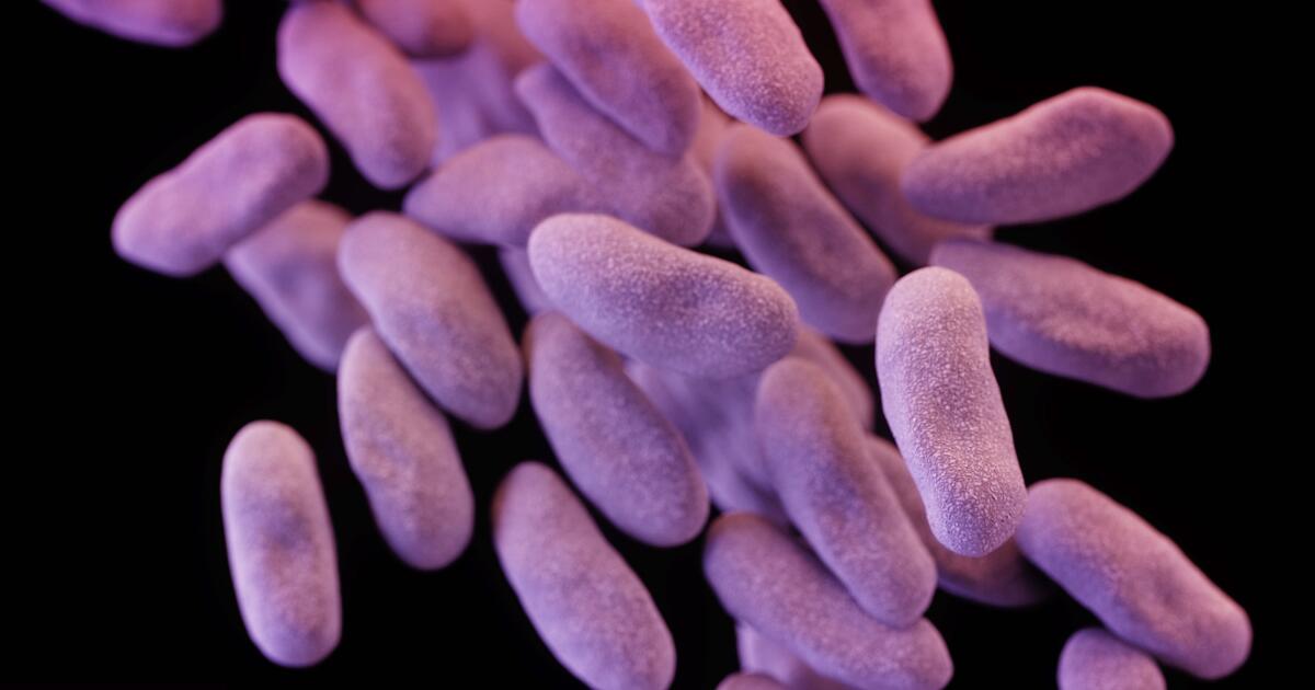 Antibiotics wreak havoc on the gut. Can we kill the bad bugs and spare the good ones?