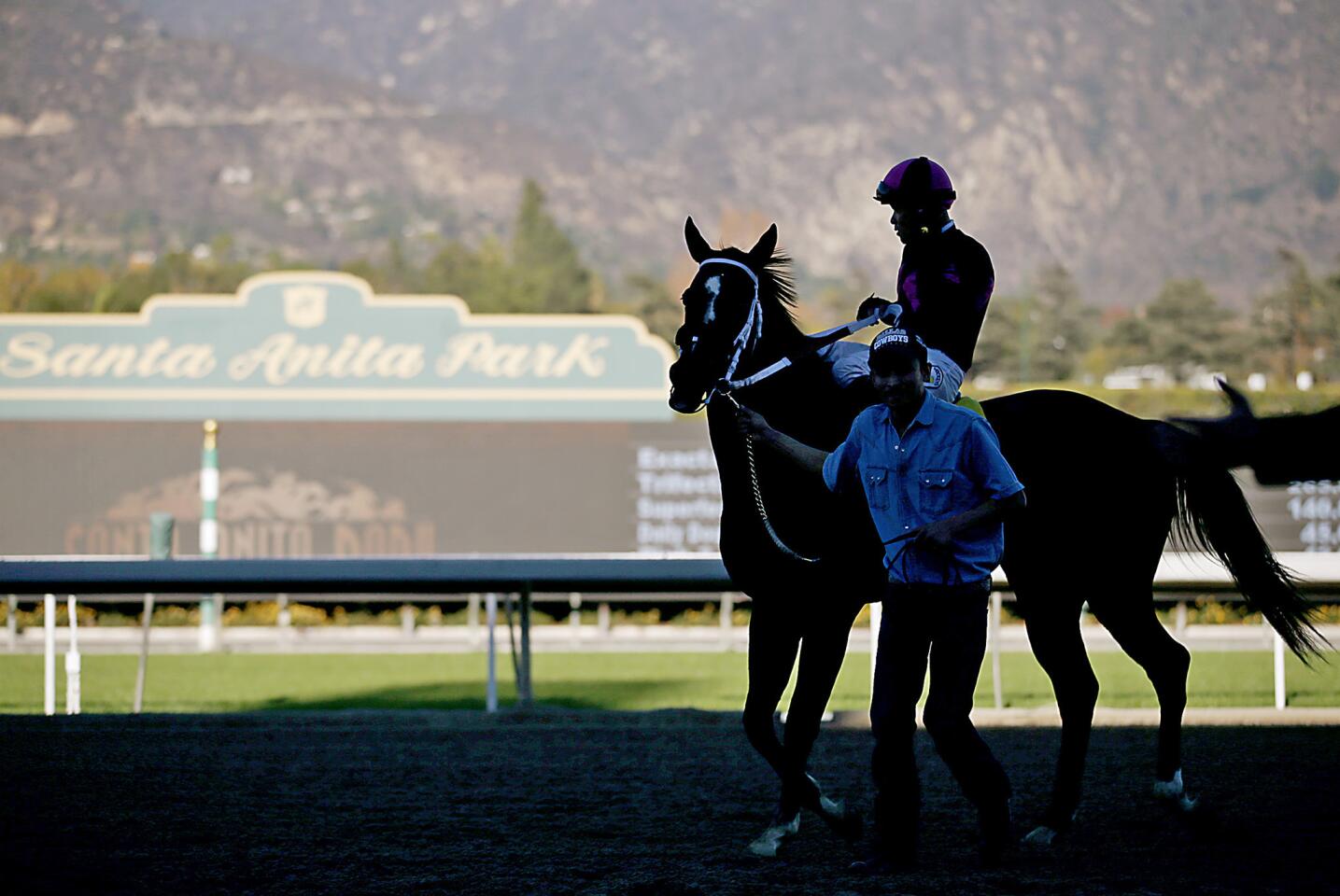 Santa Anita