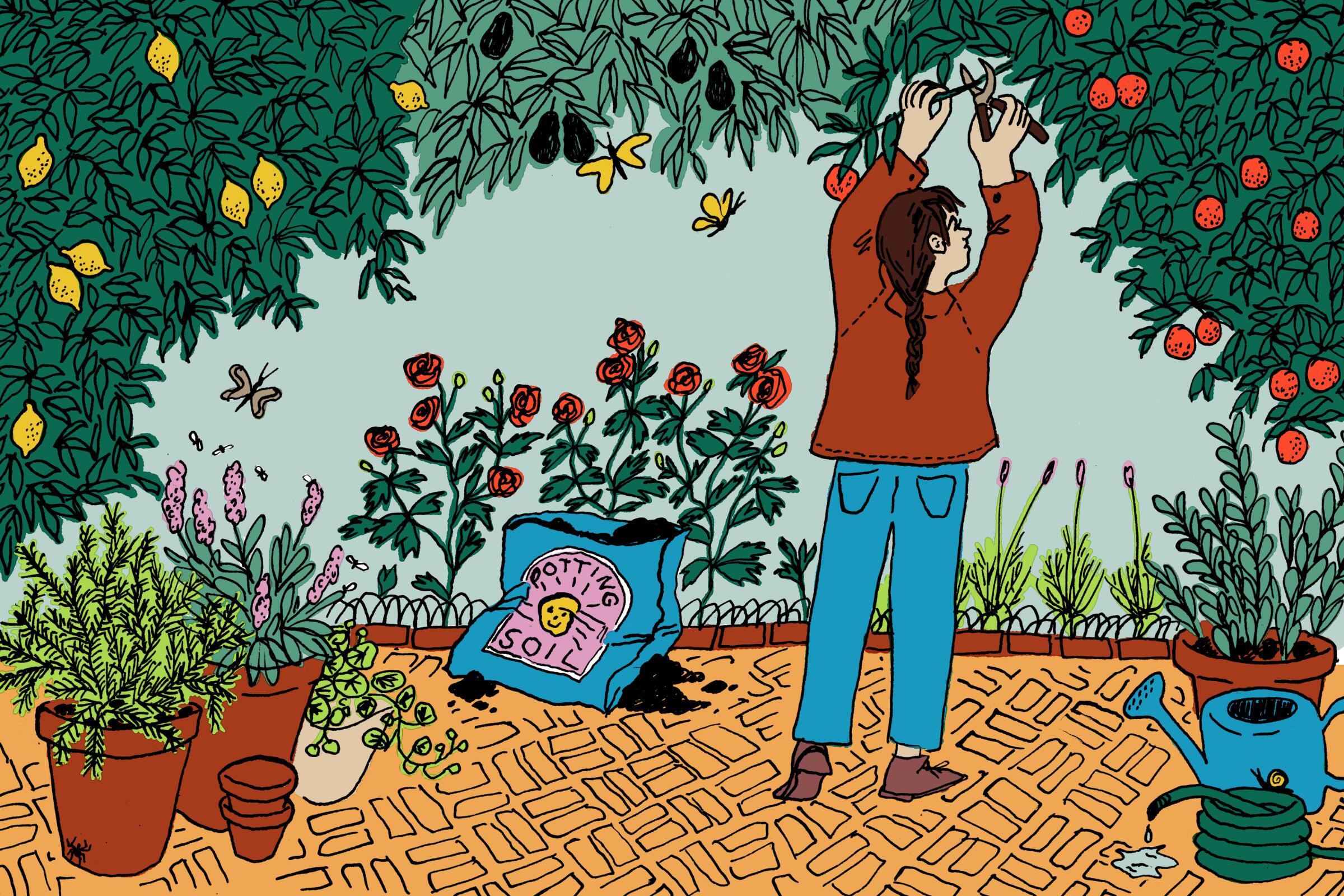 Illustration of person with plants