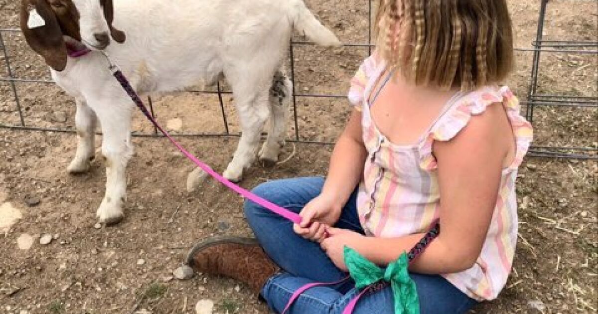 Every day for three months, Jessica Long’s young daughter walked and fed her goat, bonding with the brown and white floppy-eared animal named Cedar.