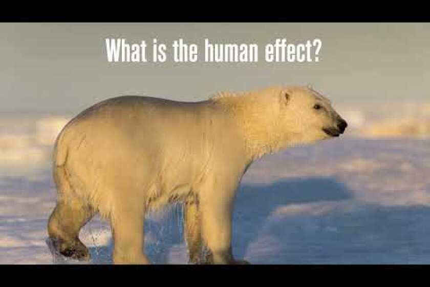 Measuring humans’ effect on Arctic sea ice