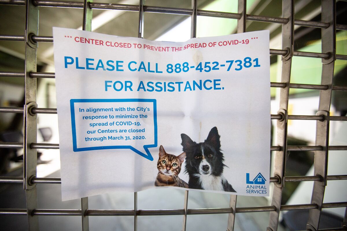 A sign at the animal shelter in Chesterfield Square.