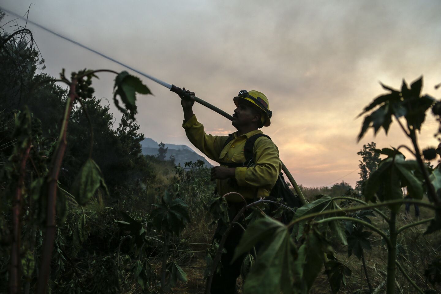 U.S. Forest Sevice firefighter Pedro Barba keeps the hillside wet along Brookridge Road as a wildfire burns above the hills in Duarte on Tuesday morning.