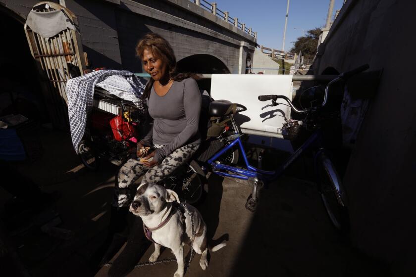 VENICE, CA - JANAUARY 31, 2018 - Rebecca Dannenbaum, 48, and her dog Pop-Tart live in a pedestrian tunnel, to the left, where she and other homeless people have been living underneath Parking Lot 731 at 2108 Pacific Ave. in Venice on January 31, 2018. Two non-profits, Venice Community Housing and Hollywood Community Housing Corp., have been selected to develop the lot, with plans for 140 housing units in two buildings on either side of the historic canal. (Genaro Molina / Los Angeles Times)