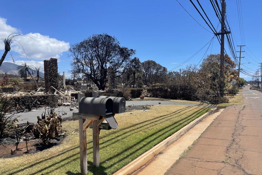 The Lahaina neighborhood the Kovach family lived in was almost completely wiped out by the Maui wildfire in August.