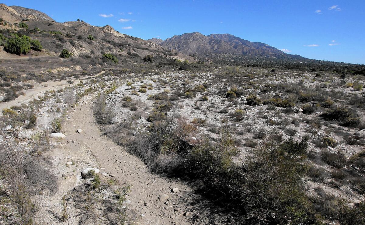 The mountains above the Tujunga Wash in Sunland are alone one of the proposed routes where tunnels would be dug for the bullet train.