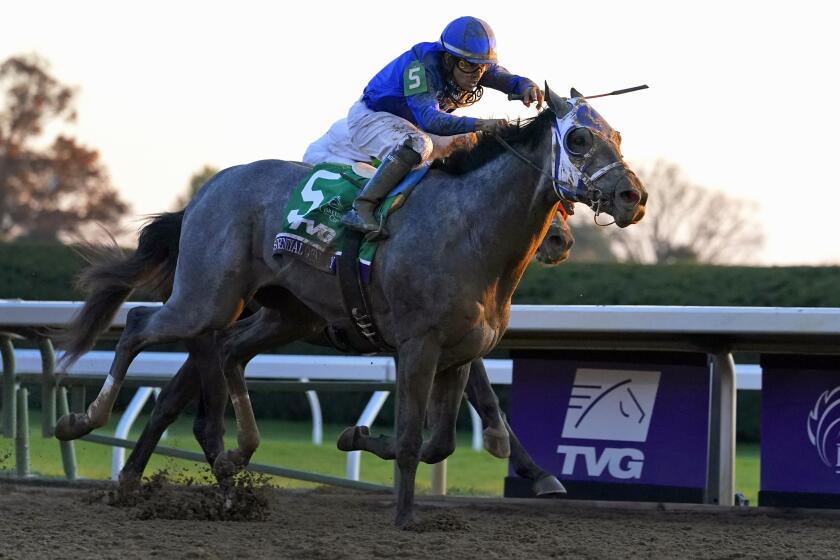 Jockey Luis Saez rides Essential Quality to win the Breeders' Cup Juvenile horse race at Keeneland Race Course.