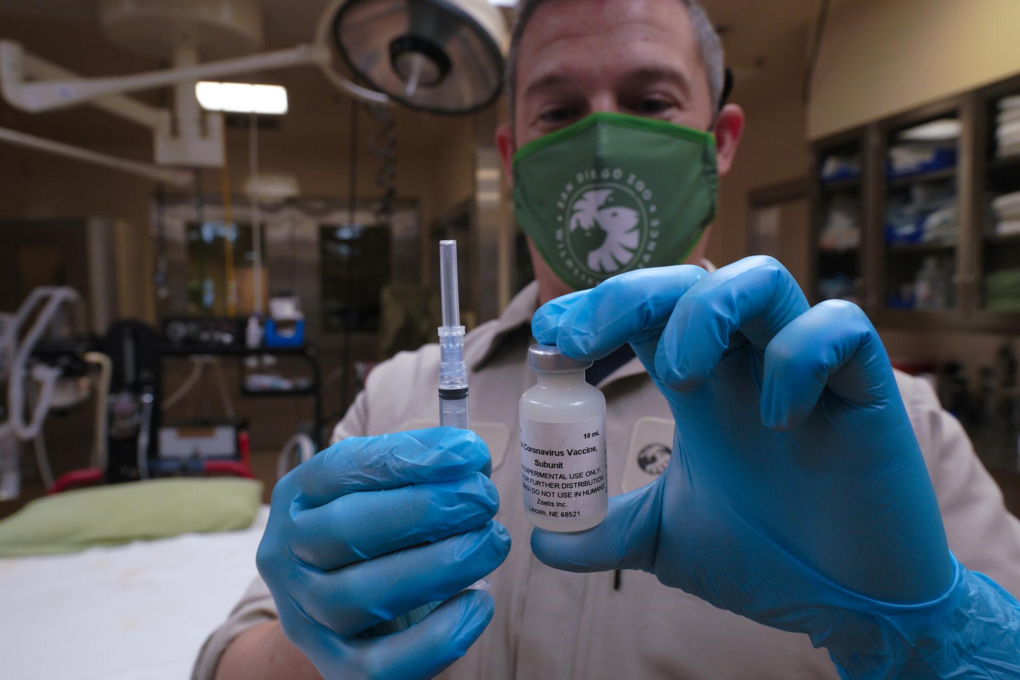 A veterinarian holds a vaccine bottle