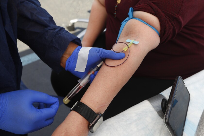 A woman has blood drawn for COVID-19 antibody testing.