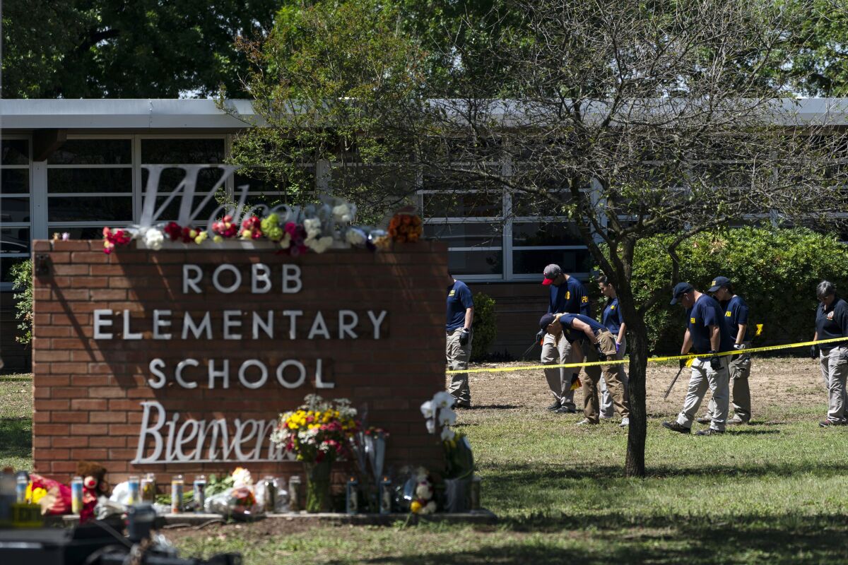 People in blue shirts and khaki pants search a patch of lawn near a building and a sign that says Robb Elementary School 
