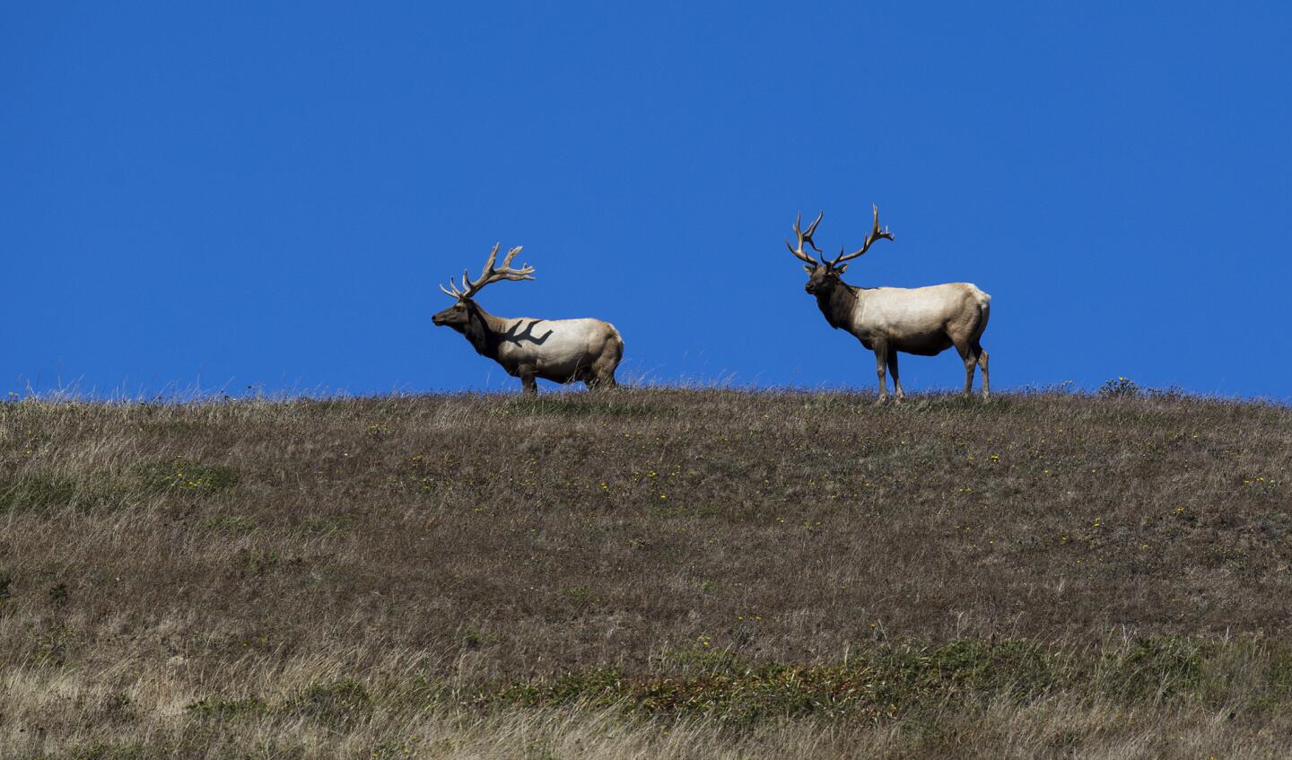 Point Reyes National Seashore