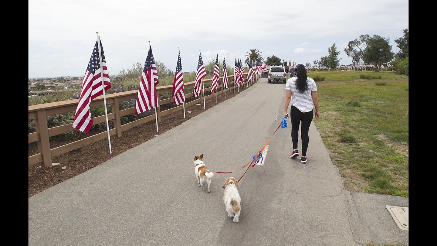Field of Honor Posts Up for Weekend
