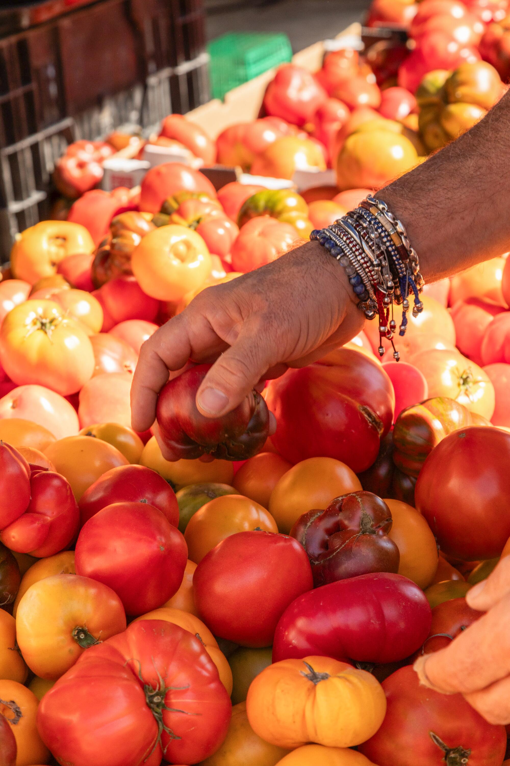 A man's hand with multiple bracelets reaches into a pile of heirloom tomatoes at the Santa Monica Farmers Market.